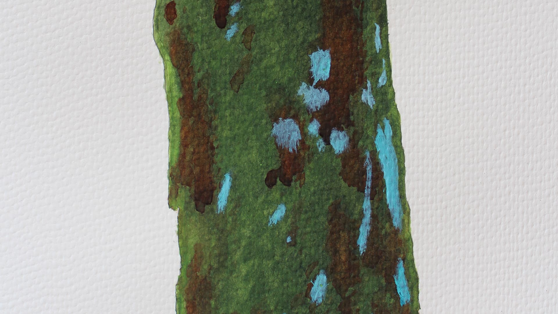 Cover Image for Bark Studies